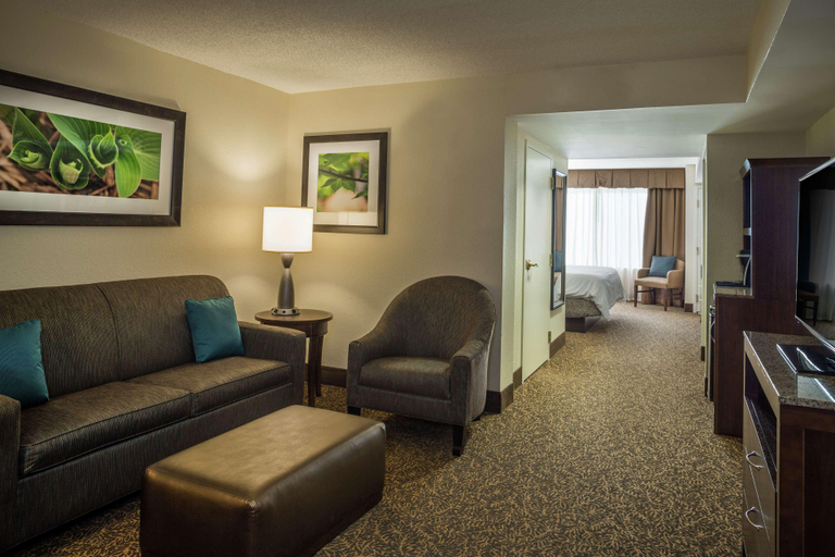 Public Area 2, Hilton Garden Inn Richmond Innsbrook, Henrico