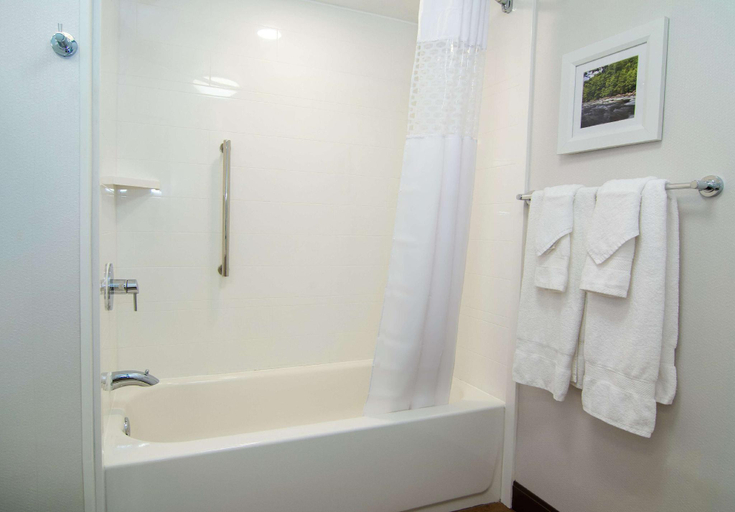 Bathroom 4, Hampton Inn Summersville, Nicholas