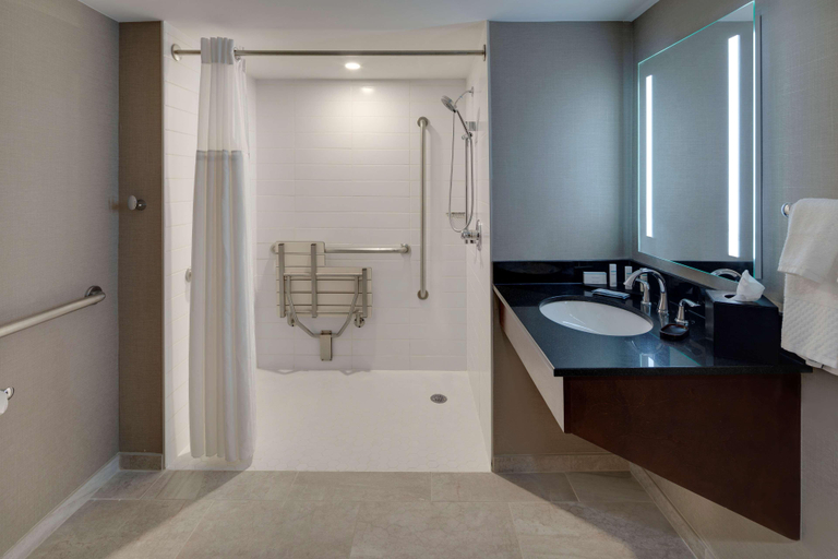 Bathroom 4, Embassy Suites Detroit Troy Auburn Hills, Oakland