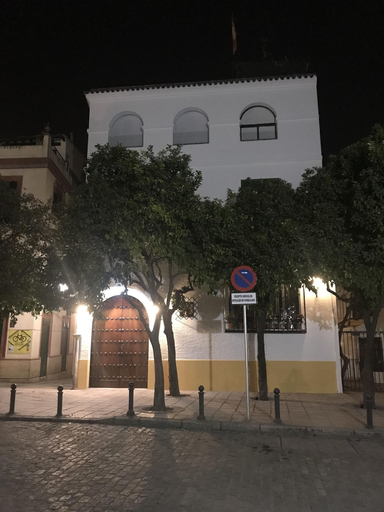 Exterior & Views 2, Rey Don Pedro Luxury Home, Sevilla