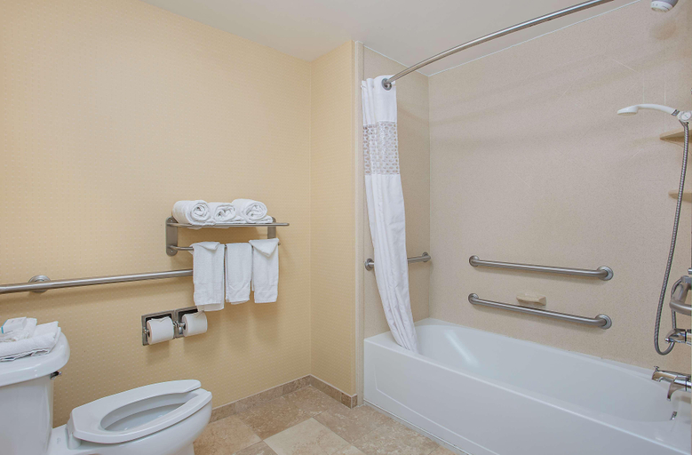 Bathroom 5, Hampton Inn Covington, GA, Newton