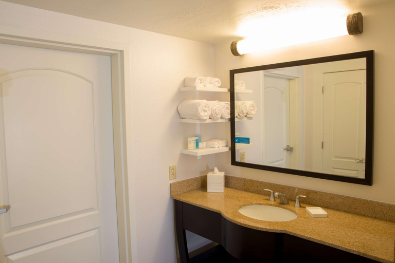 Bathroom 4, Hampton Inn & Suites Albany-Downtown, Albany