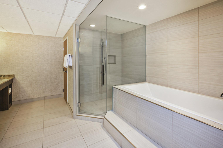 Bathroom 5, Doubletree Rapid City Downtown Convention Center, Pennington