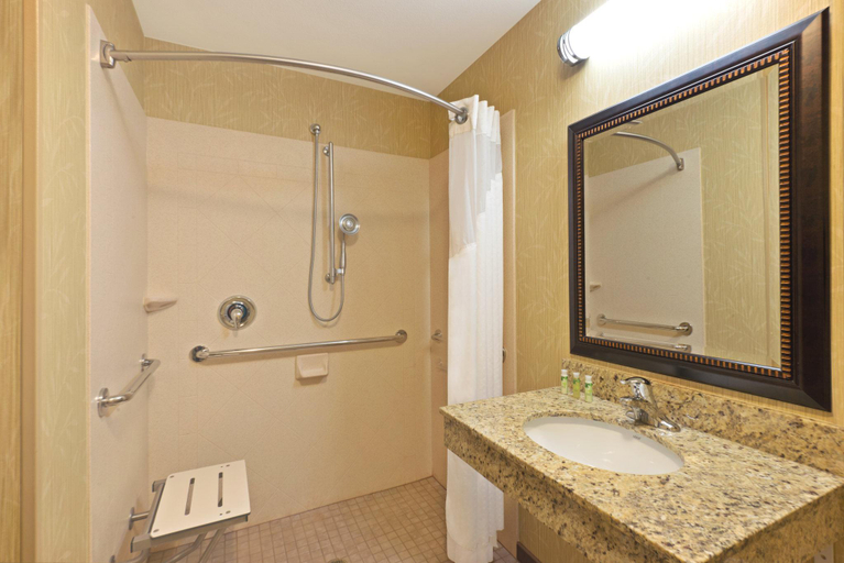 Bathroom 4, Hampton Inn Richfield, UT, Sevier