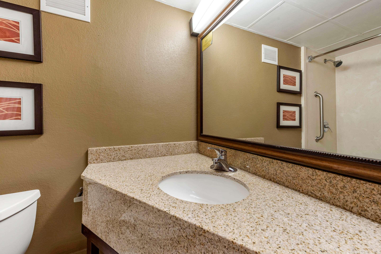 Bathroom 4, Comfort Inn & Suites Triadelphia - Wheeling, Ohio