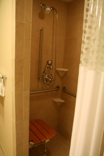 Bathroom 4, Hampton Inn & Suites Riverton, Fremont