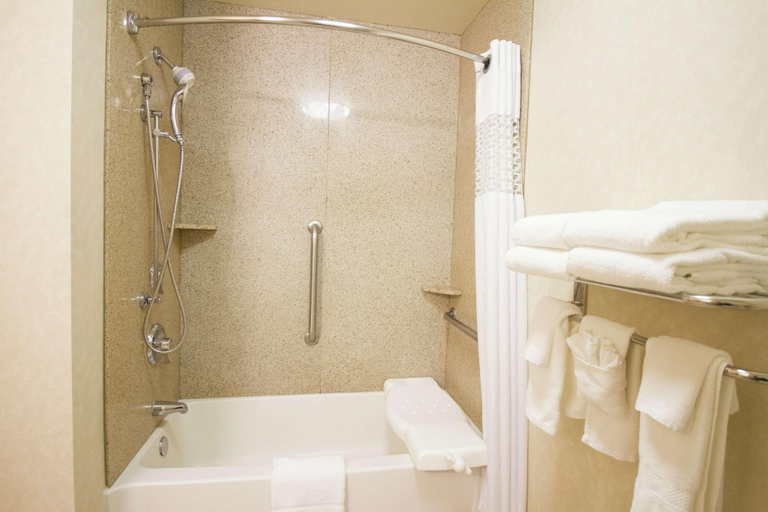 Bathroom 4, Hampton Inn Norfolk, Madison