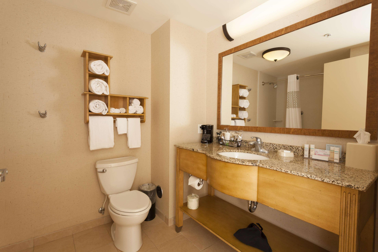 Bathroom 4, Hampton Inn & Suites Riverton, Fremont