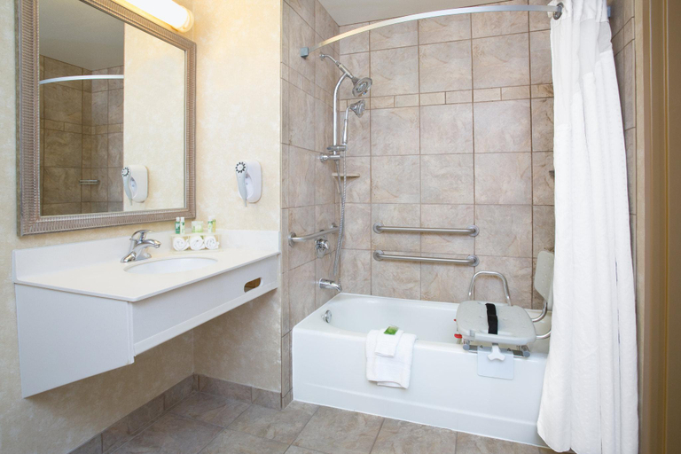 Bathroom, Hampton Inn & Suites Minot Airport, Ward