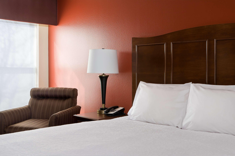 Public Area 3, Hampton Inn Lubbock, Lubbock
