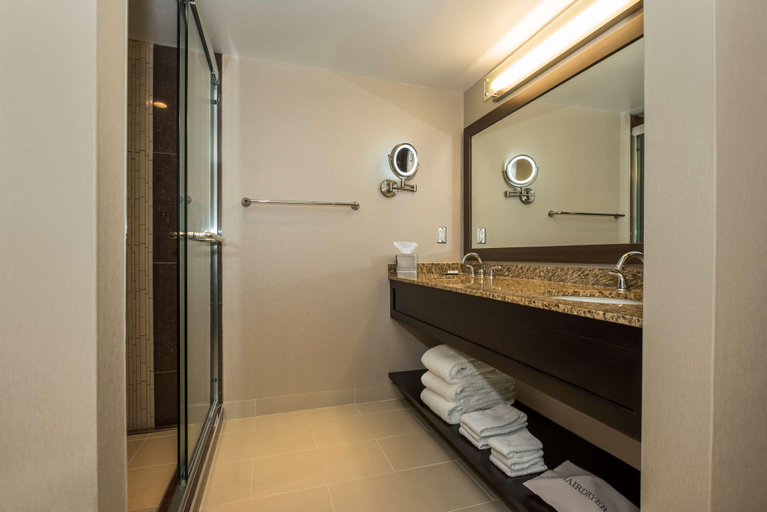 Bathroom 5, Hilton Suites Winnipeg Airport, Division No. 11