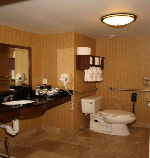 Bathroom 4, Hampton Inn & Suites Aberdeen, Brown