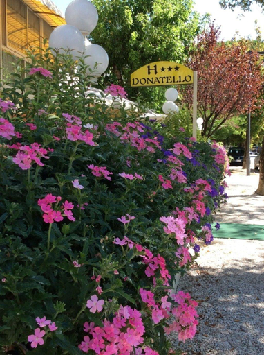 Exterior & Views 2, The Donatello Hotel Cesenatico, Forli' - Cesena