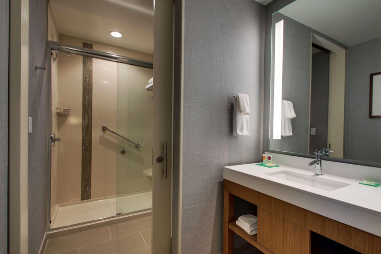 Bathroom 4, Hyatt Place Milwaukee Downtown, Milwaukee