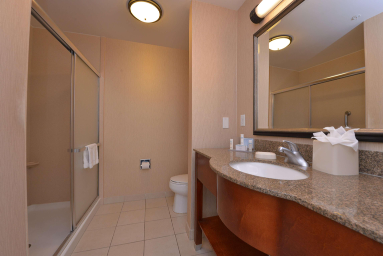 Bathroom 5, Hampton Inn & Suites Bakersfield North Airport, Kern