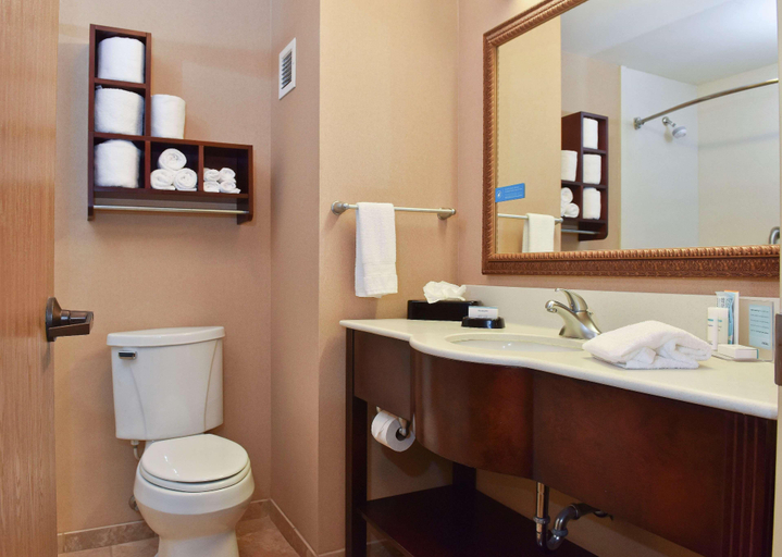 Bathroom 4, Hampton Inn Ruston, Lincoln