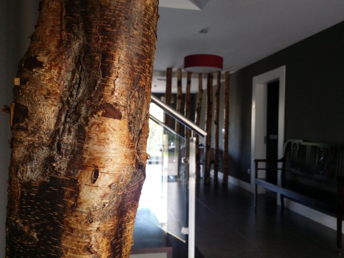 Public Area 2, A Finca Hotel, Lugo
