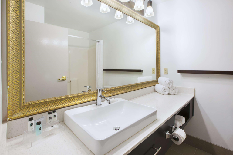 Bathroom 4, Country Inn & Suites by Radisson, Big Rapids, MI, Mecosta