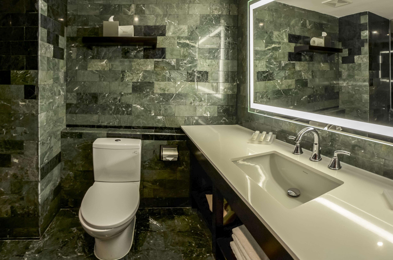 Bathroom 5, Hilton Garden Inn Guatemala City, ZONA 10