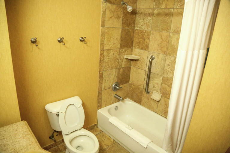 Bathroom 4, Hampton Inn & Suites Jennings, Jefferson Davis