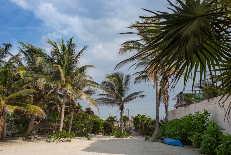 Sport & Beauty, The Safe House, Cozumel