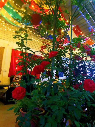 Public Area 2, Lakeside Inn, Guilin