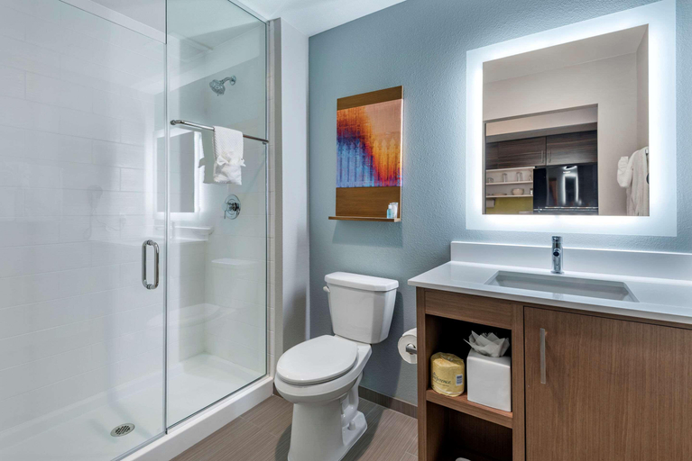 Bathroom 4, Mainstay Suites Durango, La Plata