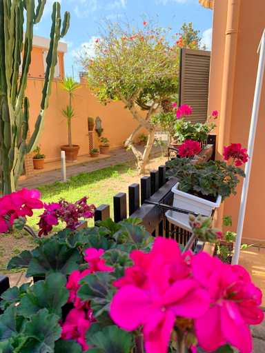 Others 3, PIANA Apartment, Carbonia-Iglesias
