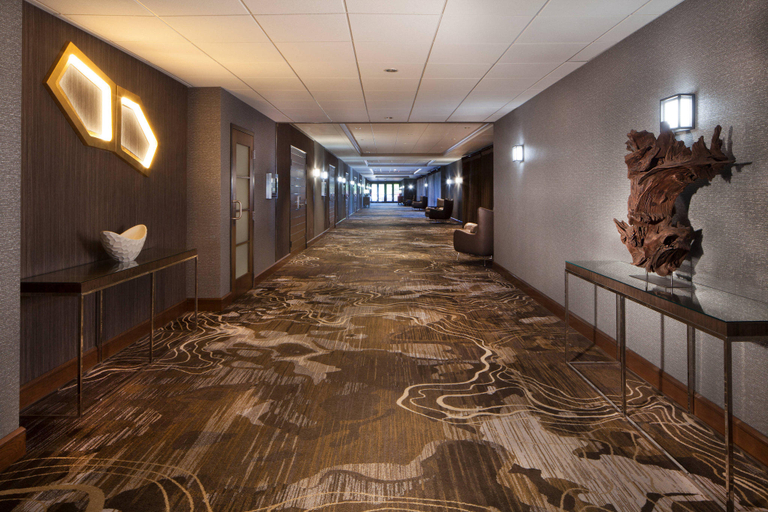 Public Area 4, Omaha Marriott, Douglas