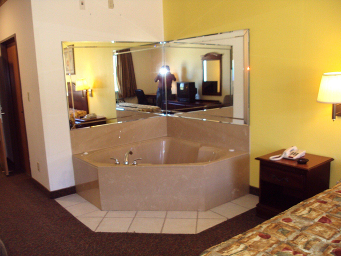 Bathroom 5, TROPICANA INN & SUITES, Dallas