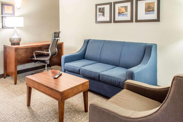 Public Area 2, Comfort Suites Near Potomac Mills, Prince William