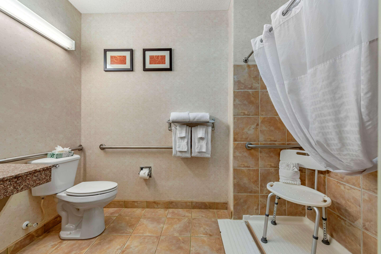 Bathroom 4, Comfort Suites Castle Rock - Denver South, Douglas