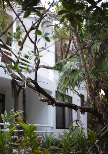 Exterior & Views 2, Casa Ambar, Cozumel