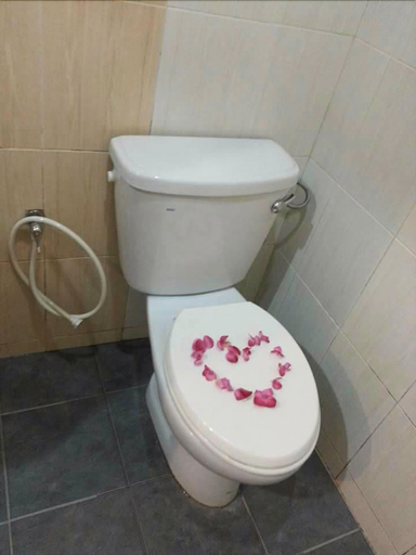 Bathroom 2, Nature Inn, Klang