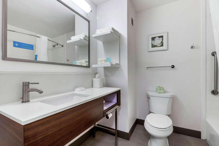 Bathroom 4, Hampton Inn Brookhaven, Lincoln