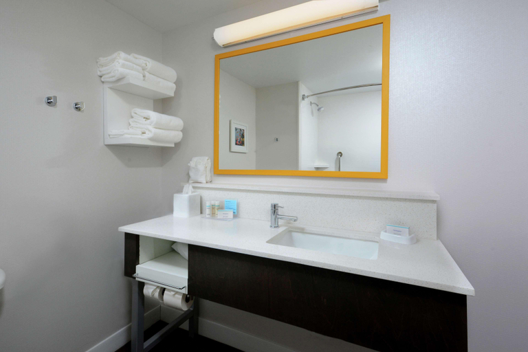 Bathroom 4, Hampton Inn & Suites Greenville/Spartanburg I-85, Spartanburg