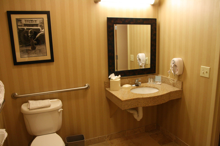 Bathroom 5, Hampton Inn & Suites Mobile Providence Pk/Airport, Mobile