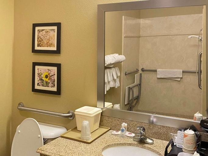 Bathroom 4, Comfort Inn & Suites Monahans I-20, Ward