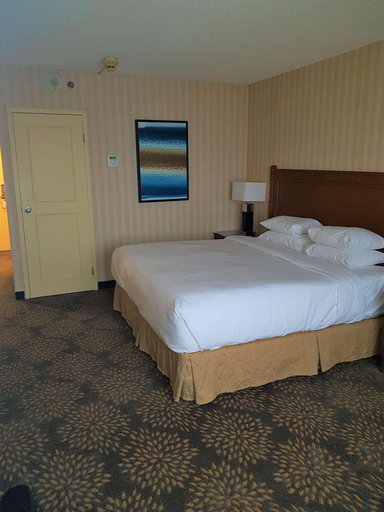 Bedroom 4, DoubleTree by Hilton London Ontario, Middlesex