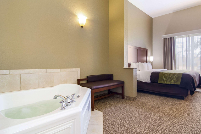 Bathroom 5, Comfort Inn Blackshear Hwy 84, Pierce