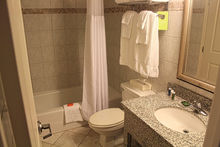Bathroom 5, Radisson Suite Hotel Oceanfront, Brevard