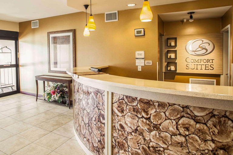 Public Area 2, Comfort Suites Bloomington I-55 And I-74, McLean