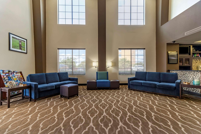 Public Area 2, Comfort Suites Buda Austin South, Hays