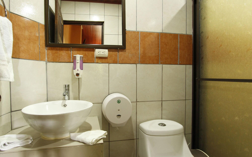 Bathroom 3, Aunty Arenal Lodge, San Carlos