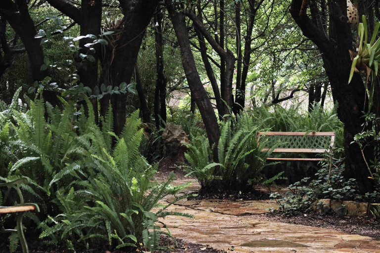 Public Area 2, Hotel Bosques Del Sol Suites, San Cristóbal de las Casas
