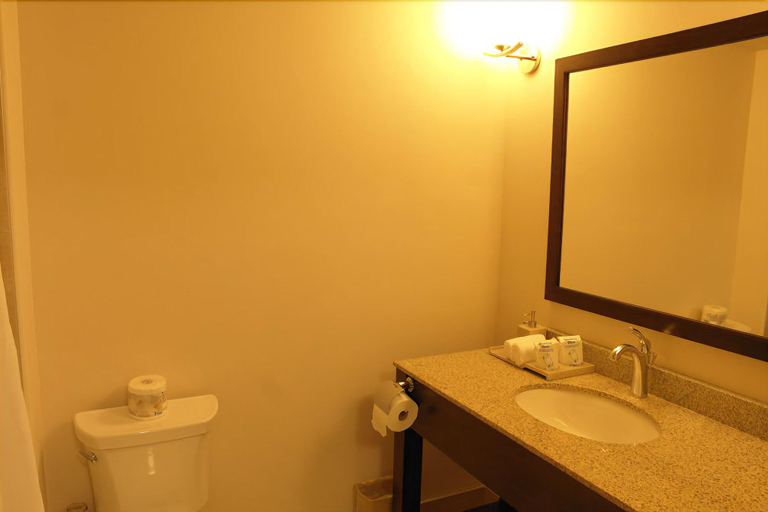 Bathroom 4, Days Inn & Suites By Wyndham Fort Saskatchewan, Division No. 11