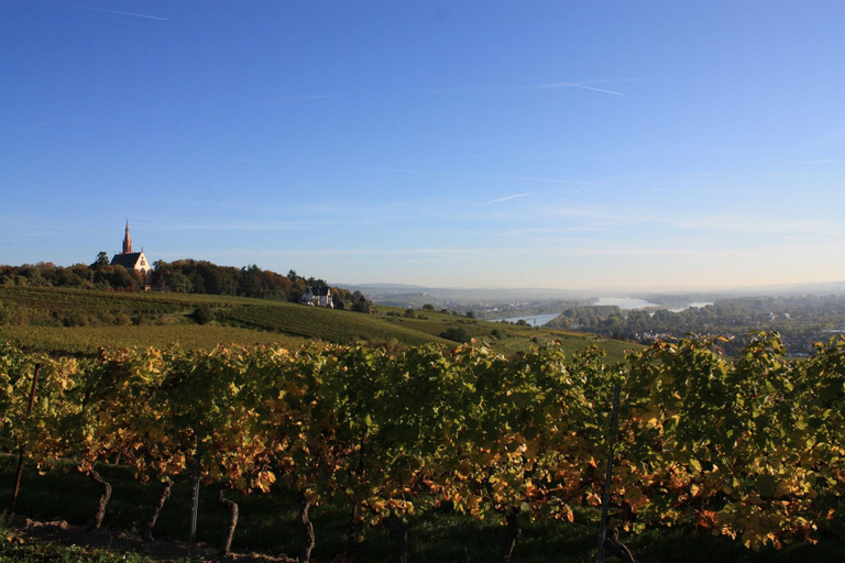 Exterior & Views 2, Hotel Krone, Mainz-Bingen