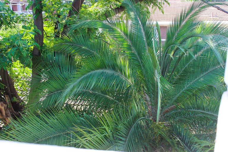 Exterior & Views, Lolos Cosy One Bedroom Apartment, Harare