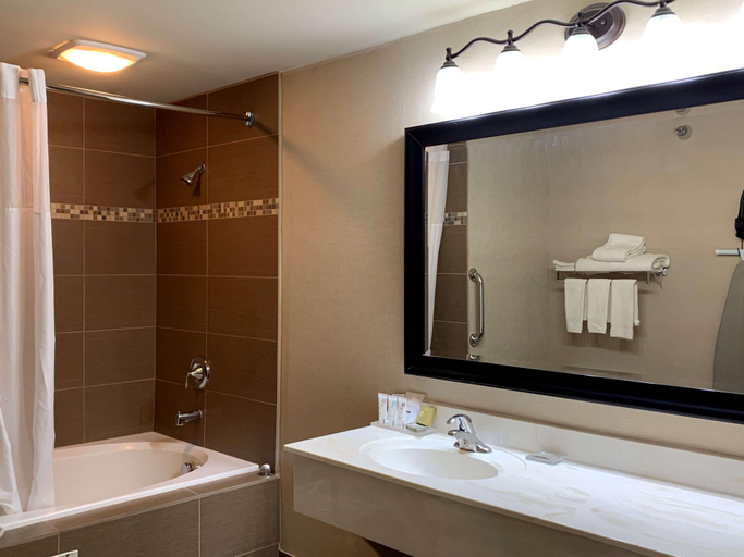 Bathroom 4, Country Inn & Suites Madison WI, Dane