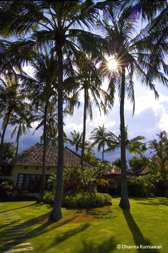 Exterior & Views 4, Scuba Seraya Resort Tulamben, Karangasem